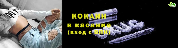 ПСИЛОЦИБИНОВЫЕ ГРИБЫ Верхний Тагил